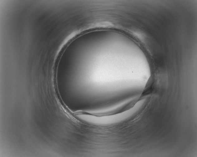 X0000080721326200612221217