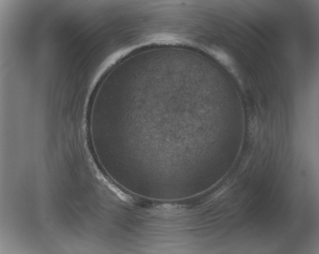 X0000080721327200612221217