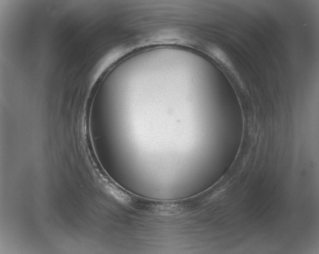 X0000080721328200612221217