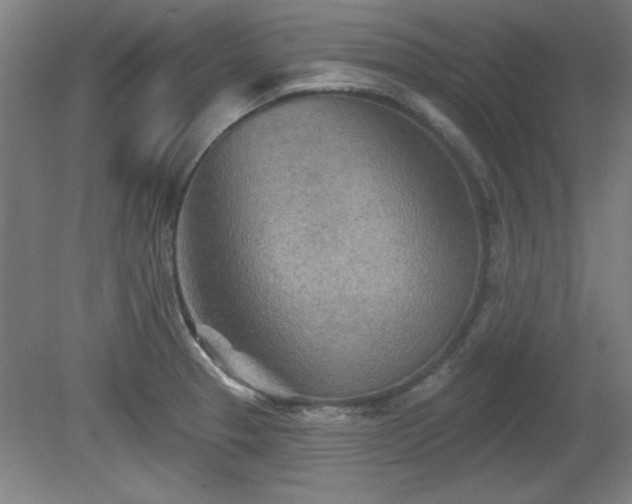 X0000080721329200612221217