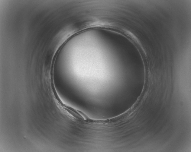 X0000080721330200612221217