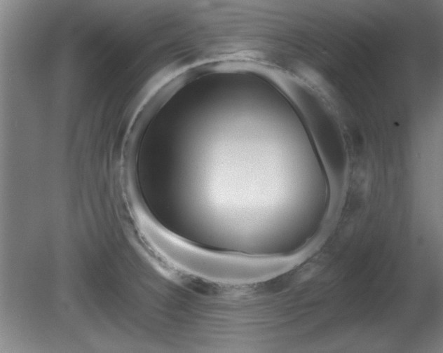 X0000080721332200612221217