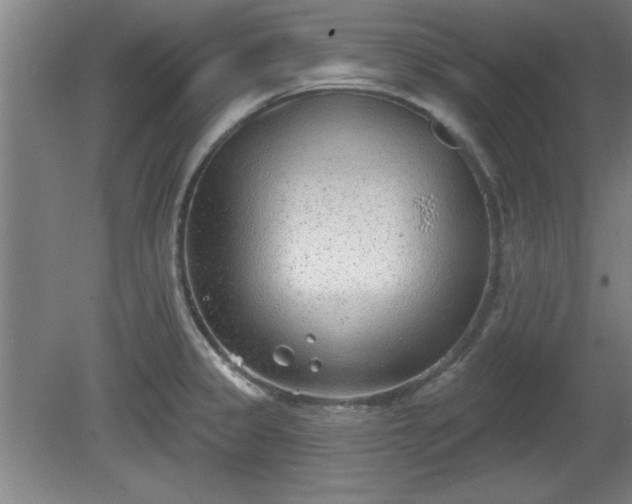 X0000080721333200612221217