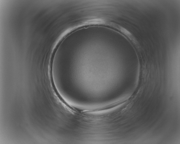 X0000080721334200612221217