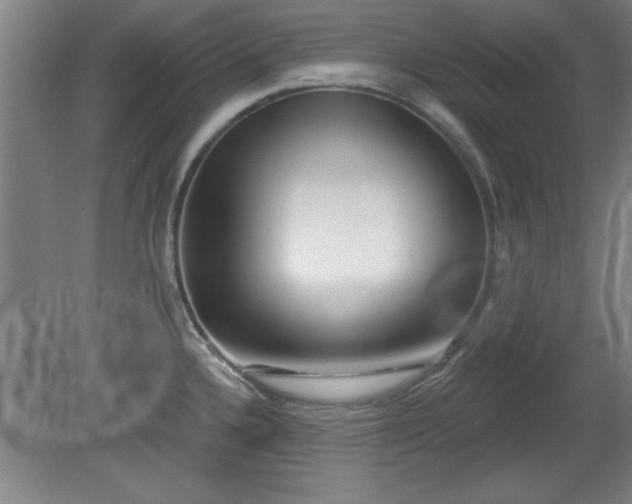 X0000080721336200612221217