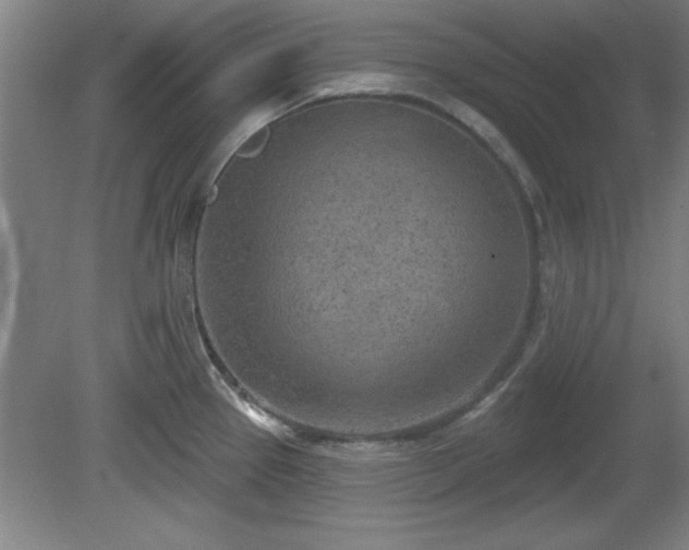 X0000080721337200612221217