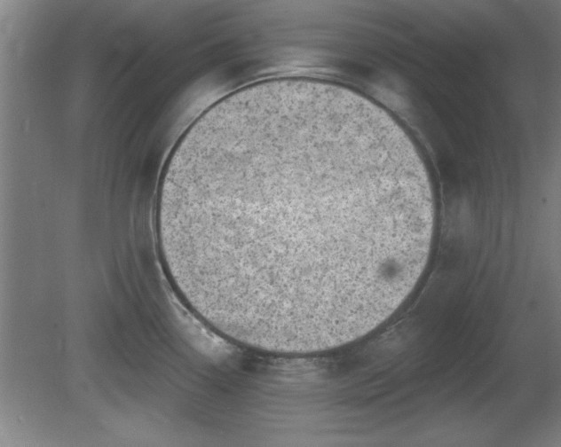 X0000080721338200612221217