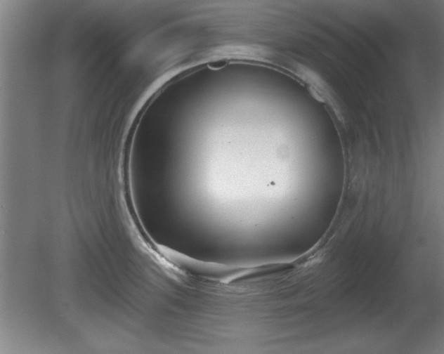 X0000080721339200612221217