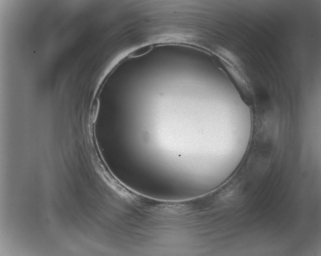 X0000080721340200612221217