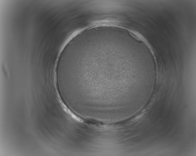 X0000080721341200612221217