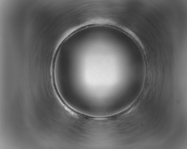 X0000080721343200612221217