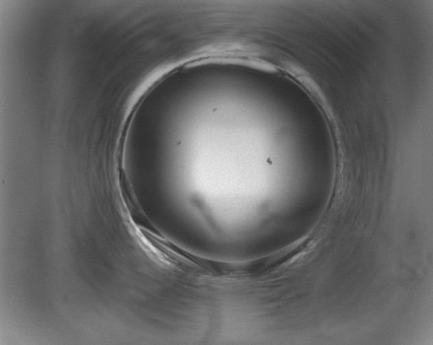 X0000080721344200612221217