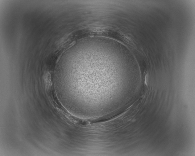 X0000080721347200612221216