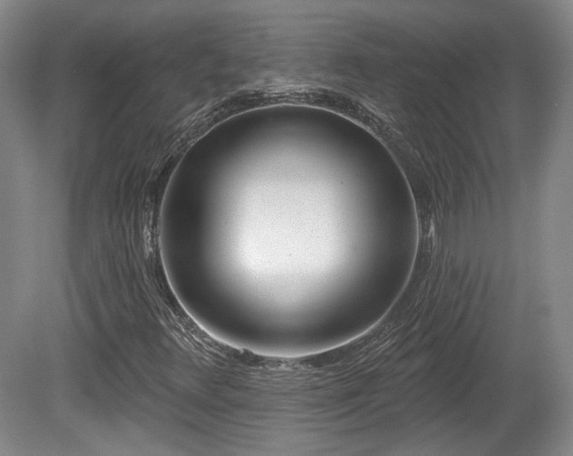 X0000080721348200612221216