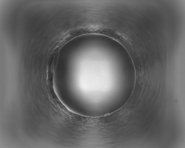 X0000080721349200612221216