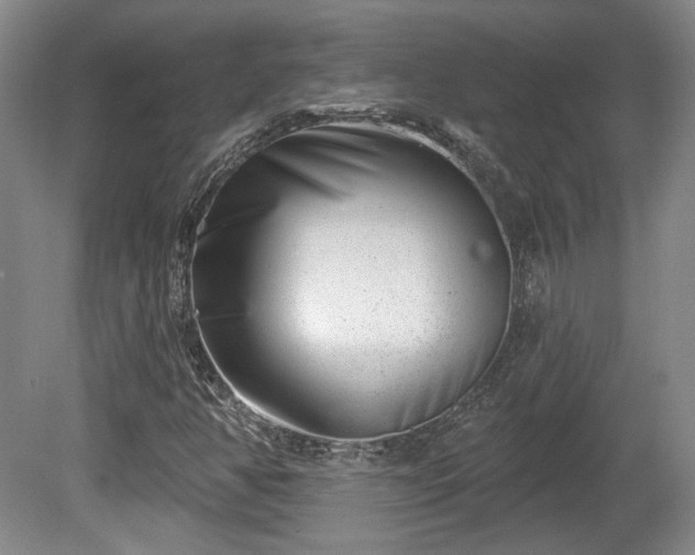 X0000080721350200612221216