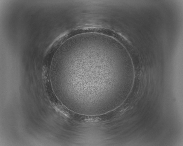 X0000080721351200612221216