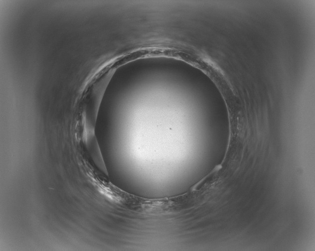 X0000080721352200612221216