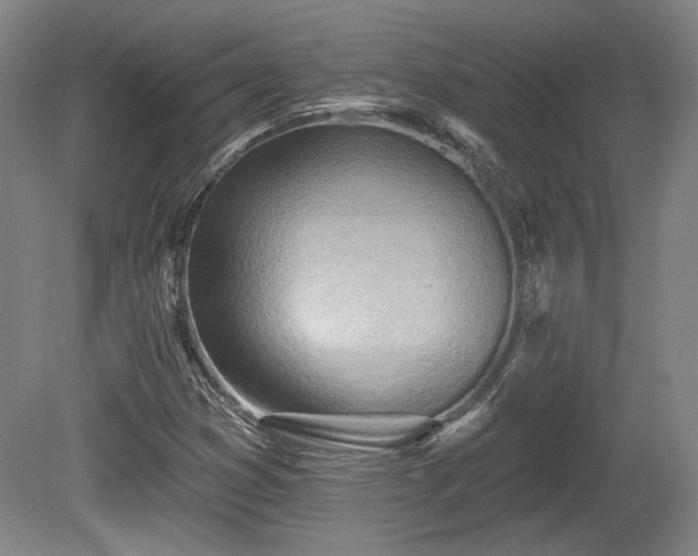 X0000080721353200612221216