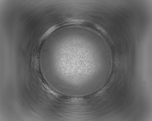 X0000080721354200612221216