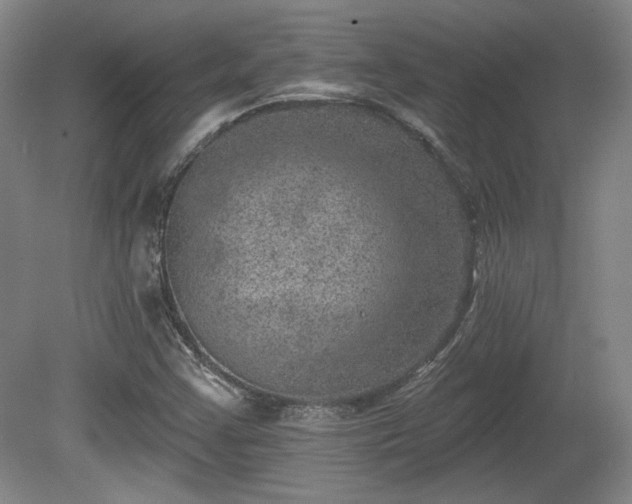 X0000080721355200612221216