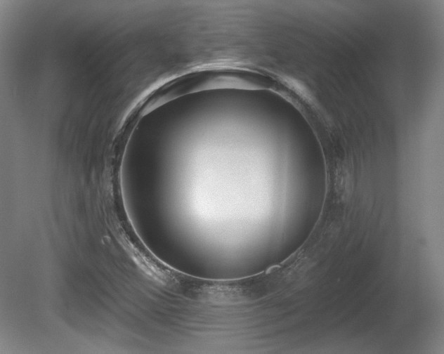 X0000080721356200612221216