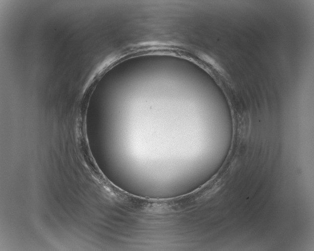 X0000080721357200612221216