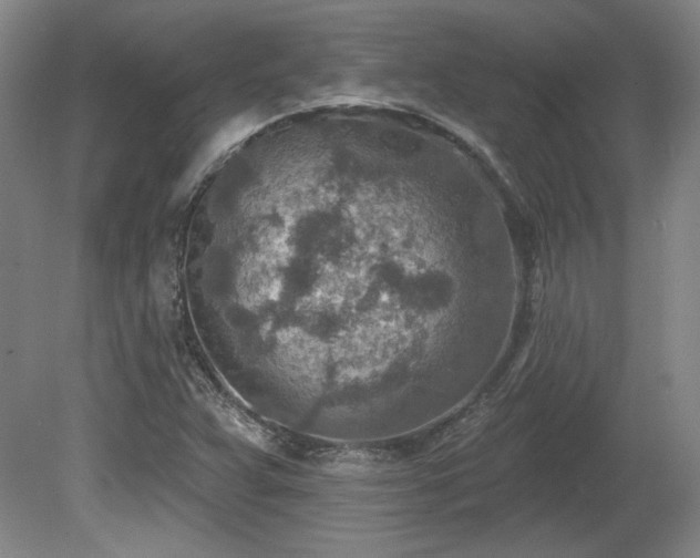 X0000080721359200612221216