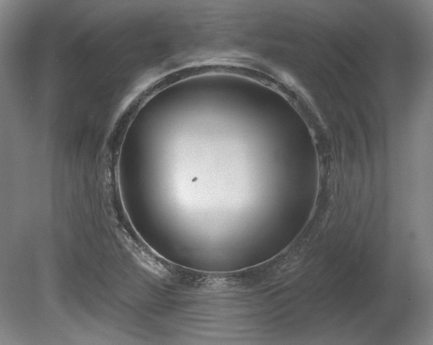 X0000080721360200612221216