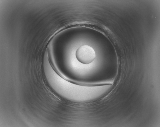 X0000080721361200612221216