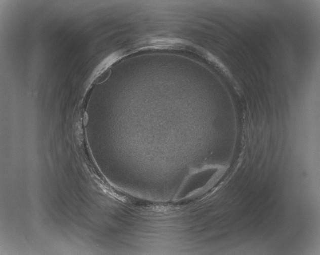 X0000080721362200612221216