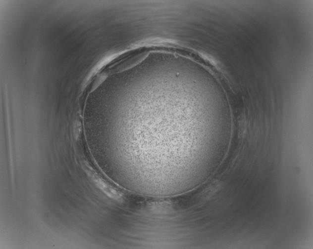 X0000080721363200612221216