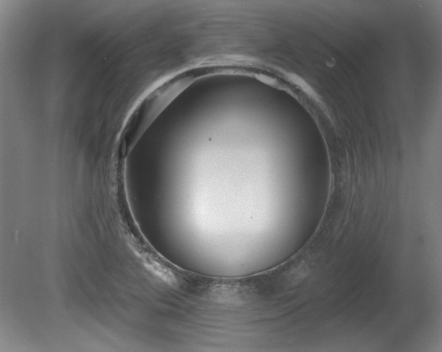 X0000080721364200612221216