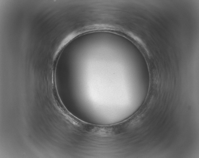 X0000080721365200612221216