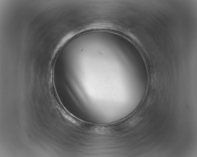 X0000080721366200612221216