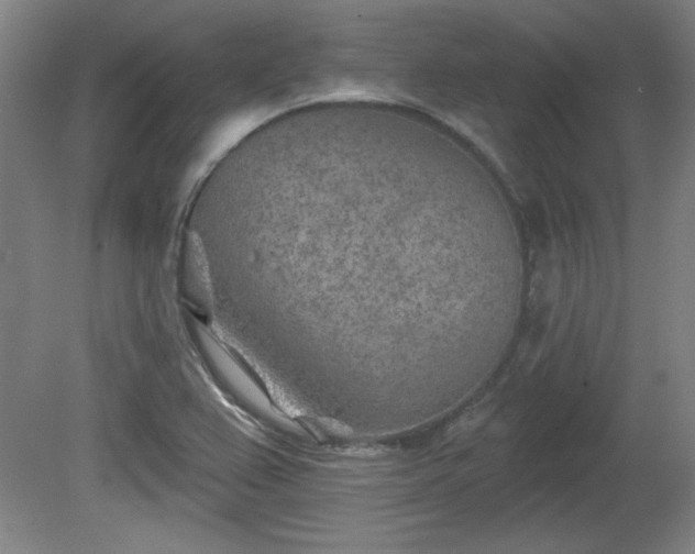 X0000080721367200612221216