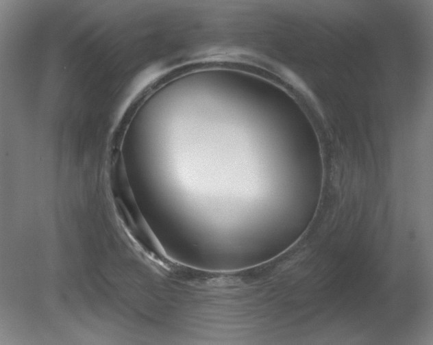 X0000080721368200612221216