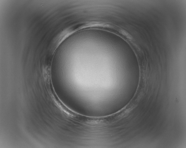 X0000080721369200612221216