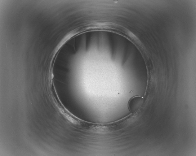 X0000080721370200612221216