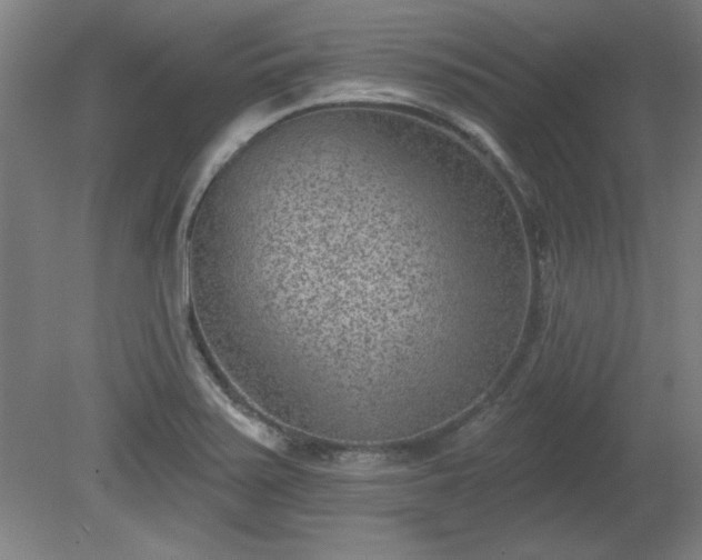 X0000080721371200612221216