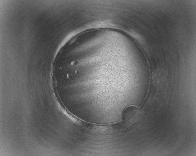 X0000080721374200612221216