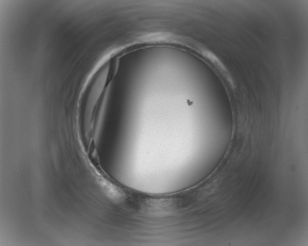 X0000080721376200612221216