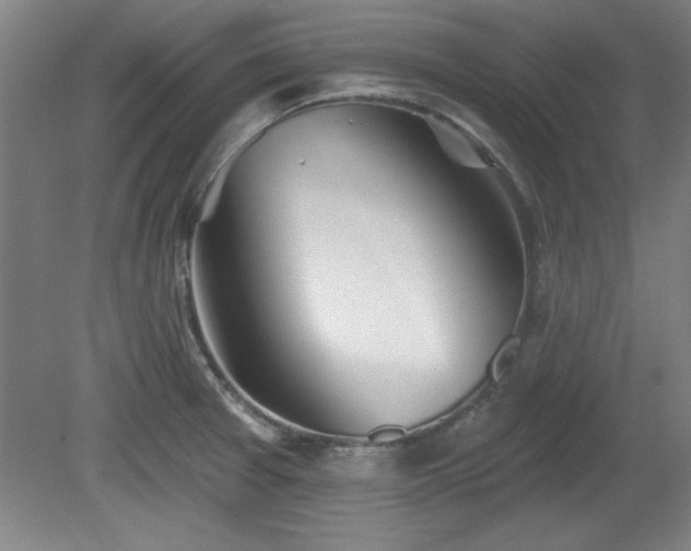 X0000080721377200612221216