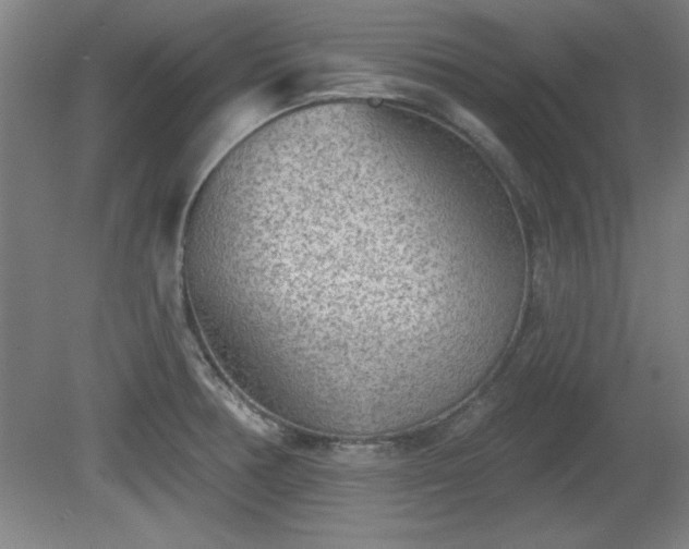 X0000080721378200612221216