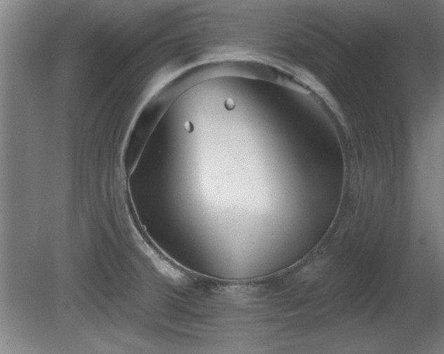 X0000080721380200612221216