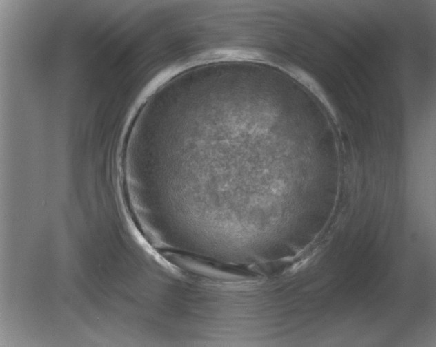 X0000080721381200612221216