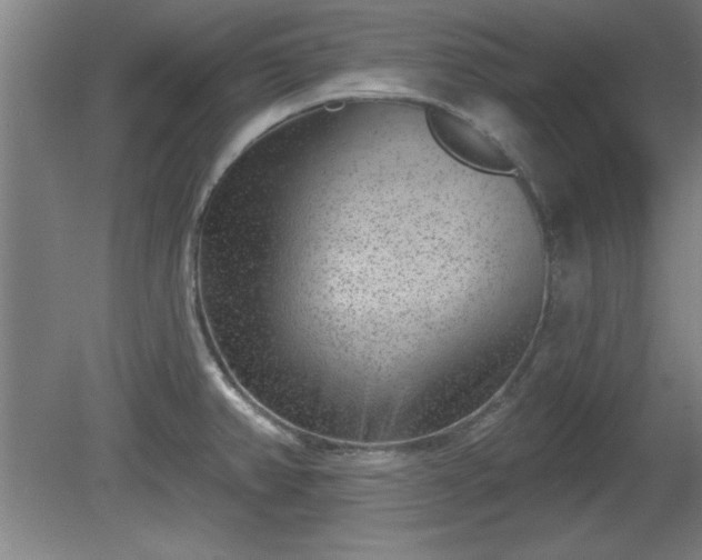 X0000080721382200612221216