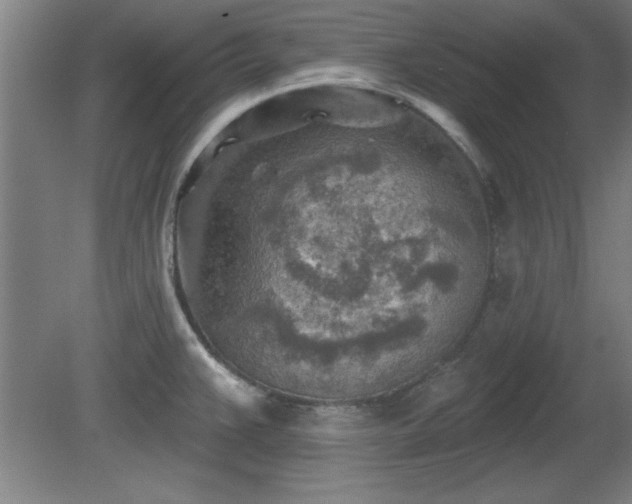 X0000080721383200612221216