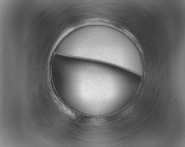 X0000080721384200612221216