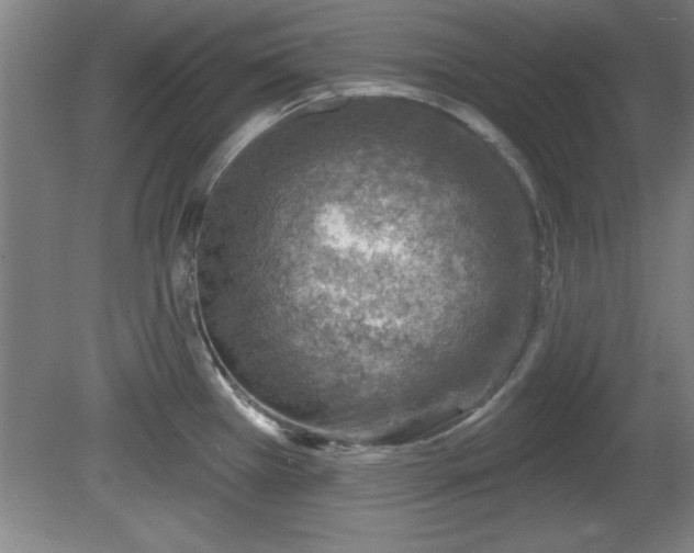 X0000080721385200612221216